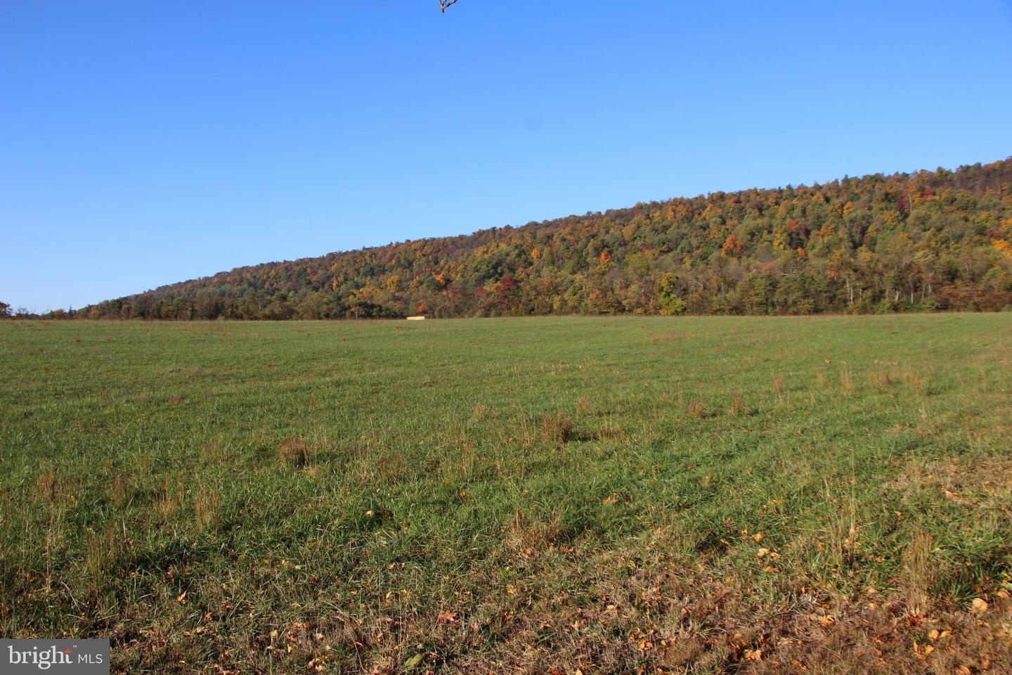 FROG HOLLOW RD, WINCHESTER, Virginia 22603, ,Farm,For Sale,FROG HOLLOW RD,VAFV2037502 MLS # VAFV2037502