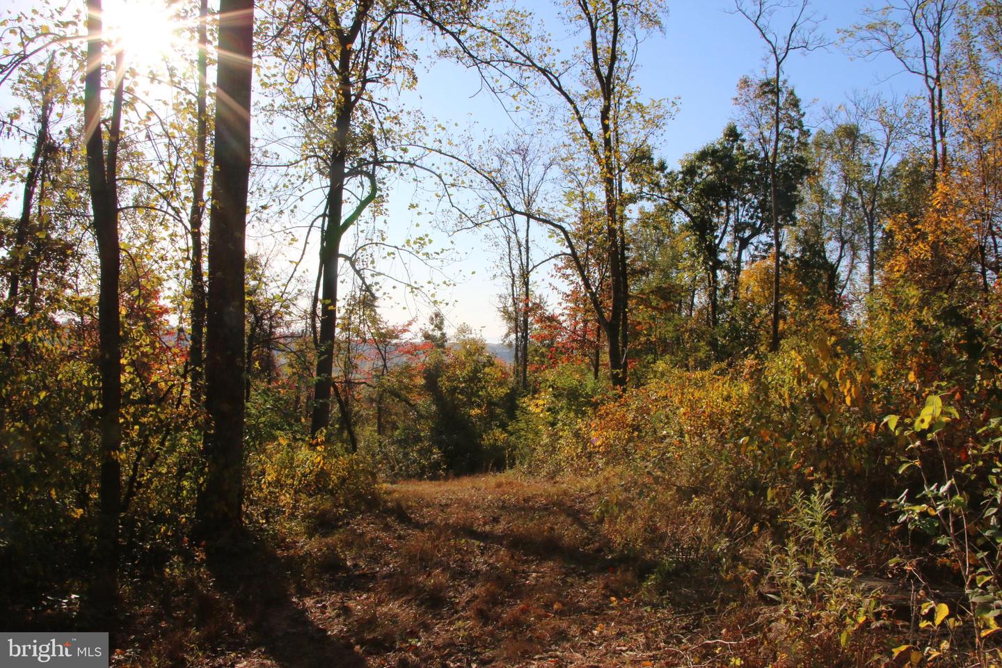 FROG HOLLOW RD, WINCHESTER, Virginia 22603, ,Farm,For Sale,FROG HOLLOW RD,VAFV2037502 MLS # VAFV2037502