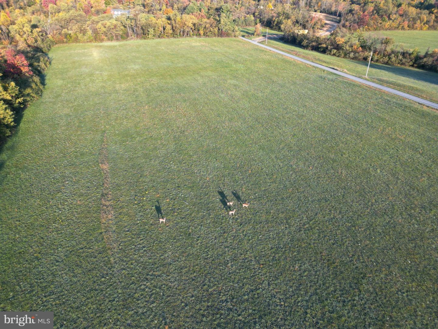 FROG HOLLOW RD, WINCHESTER, Virginia 22603, ,Farm,For Sale,FROG HOLLOW RD,VAFV2037502 MLS # VAFV2037502