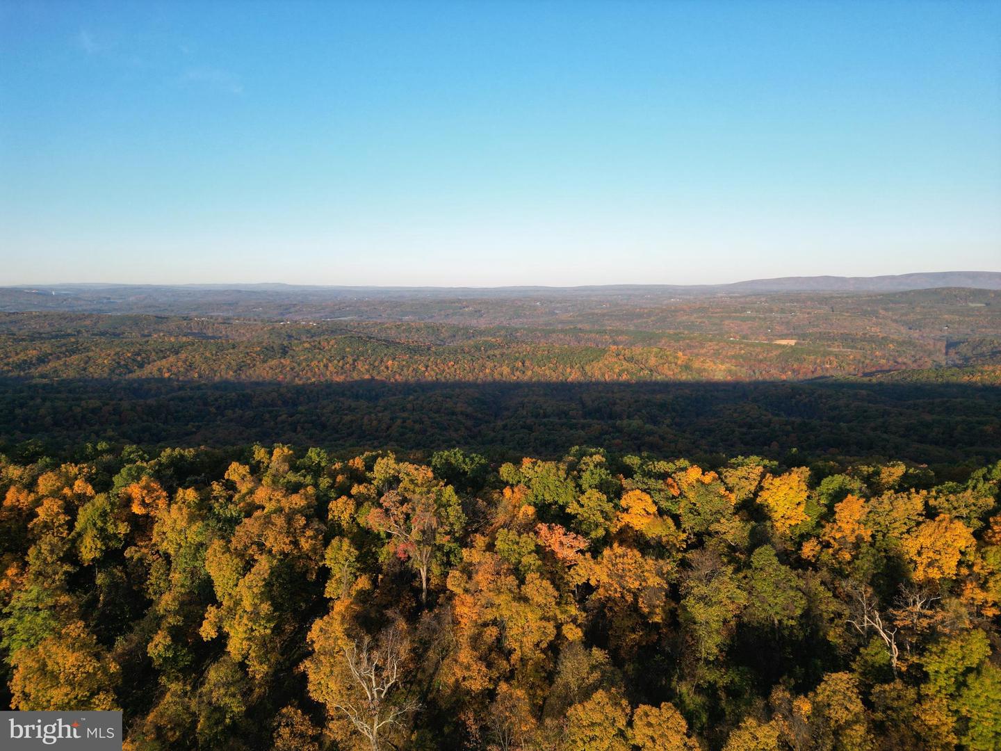 FROG HOLLOW RD, WINCHESTER, Virginia 22603, ,Farm,For Sale,FROG HOLLOW RD,VAFV2037502 MLS # VAFV2037502