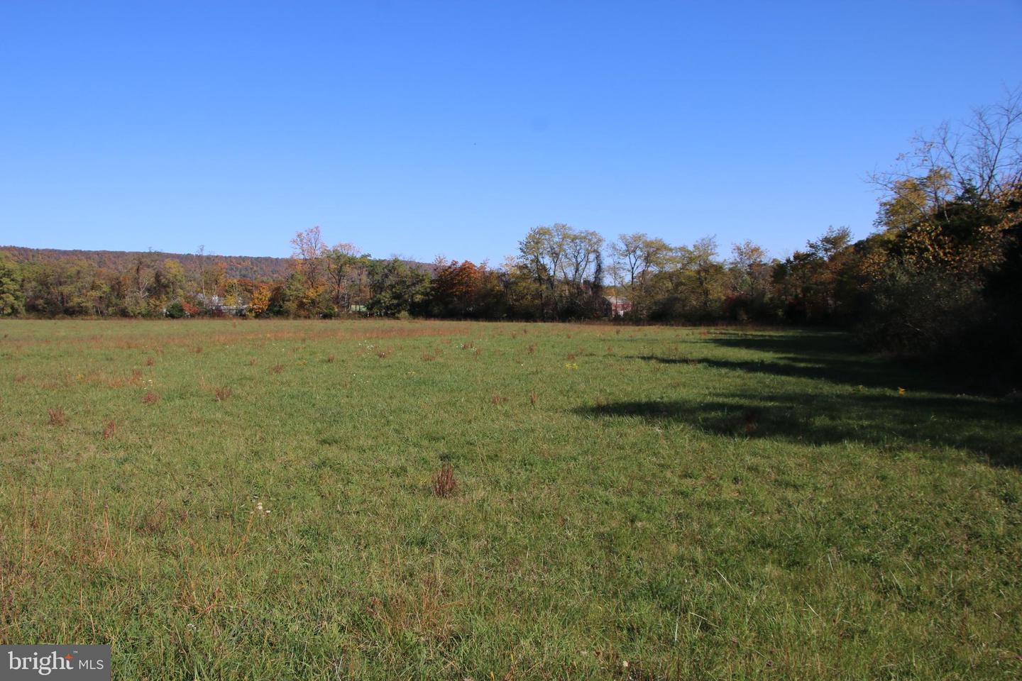 FROG HOLLOW RD, WINCHESTER, Virginia 22603, ,Farm,For Sale,FROG HOLLOW RD,VAFV2037502 MLS # VAFV2037502