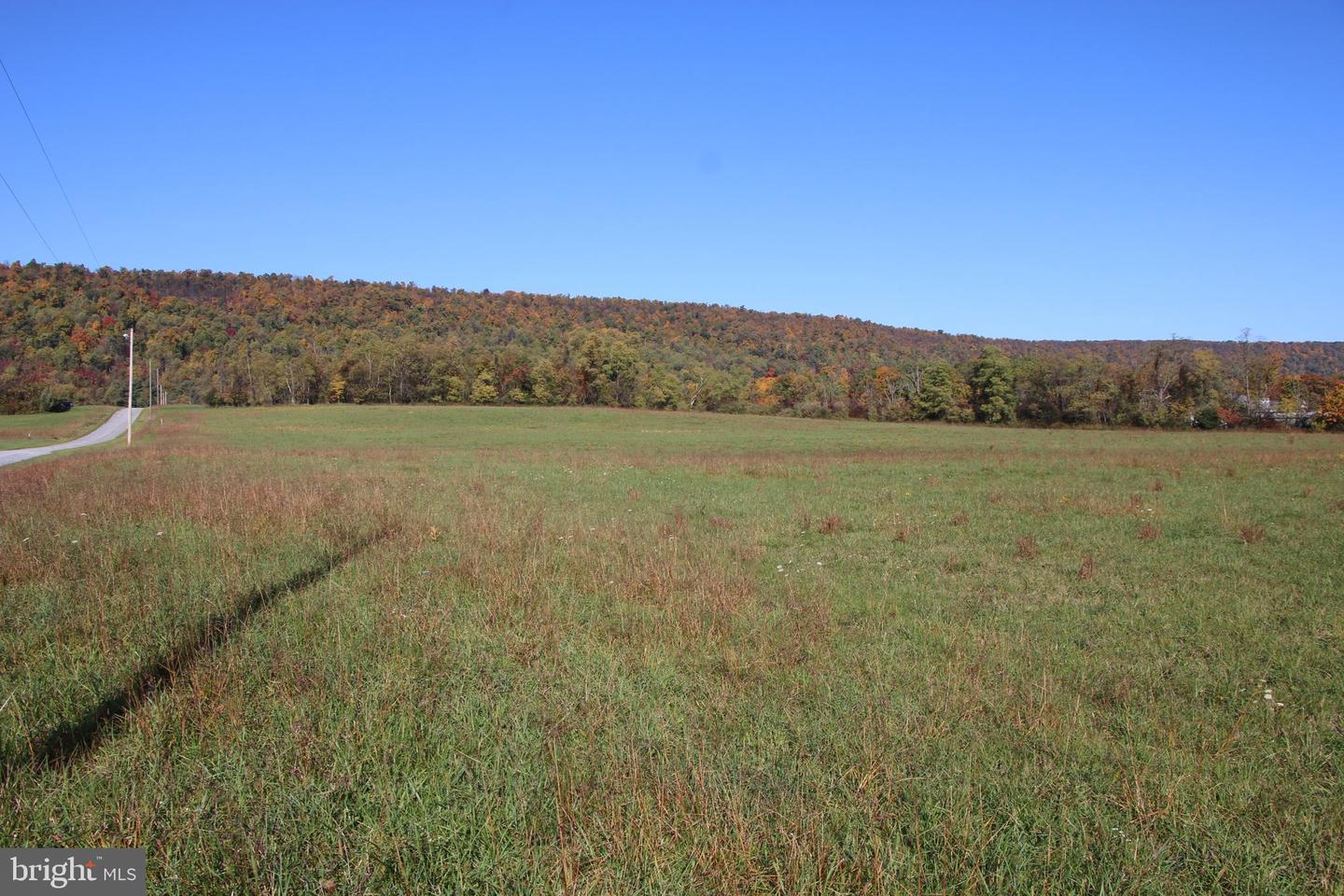 FROG HOLLOW RD, WINCHESTER, Virginia 22603, ,Farm,For Sale,FROG HOLLOW RD,VAFV2037502 MLS # VAFV2037502