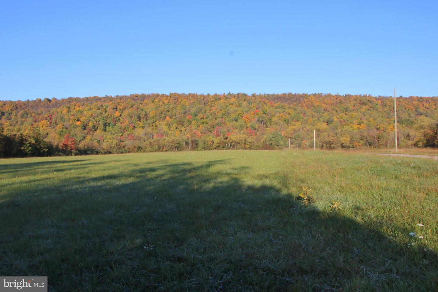 FROG HOLLOW RD, WINCHESTER, Virginia 22603, ,Farm,For Sale,FROG HOLLOW RD,VAFV2037502 MLS # VAFV2037502