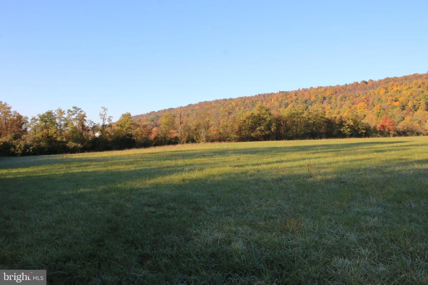 FROG HOLLOW RD, WINCHESTER, Virginia 22603, ,Farm,For Sale,FROG HOLLOW RD,VAFV2037502 MLS # VAFV2037502