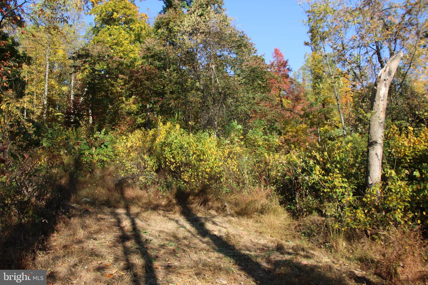 FROG HOLLOW RD, WINCHESTER, Virginia 22603, ,Farm,For Sale,FROG HOLLOW RD,VAFV2037502 MLS # VAFV2037502