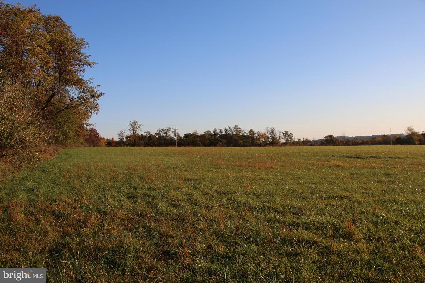 FROG HOLLOW RD, WINCHESTER, Virginia 22603, ,Farm,For Sale,FROG HOLLOW RD,VAFV2037502 MLS # VAFV2037502