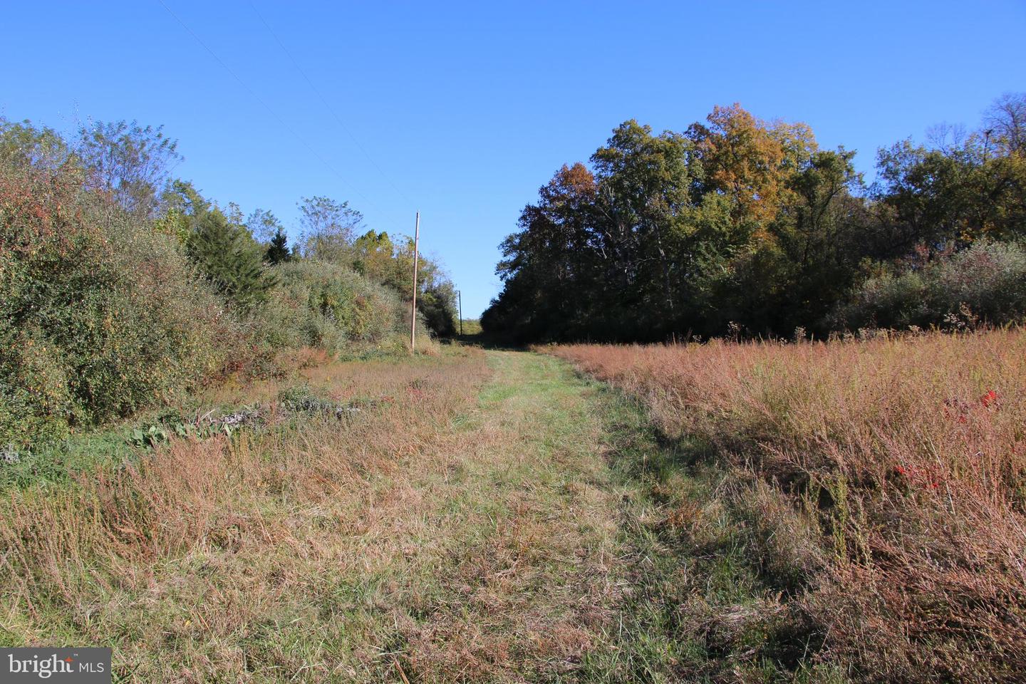 598 TUCKAHOE LN, WINCHESTER, Virginia 22602, ,Farm,For Sale,598 TUCKAHOE LN,VAFV2037258 MLS # VAFV2037258