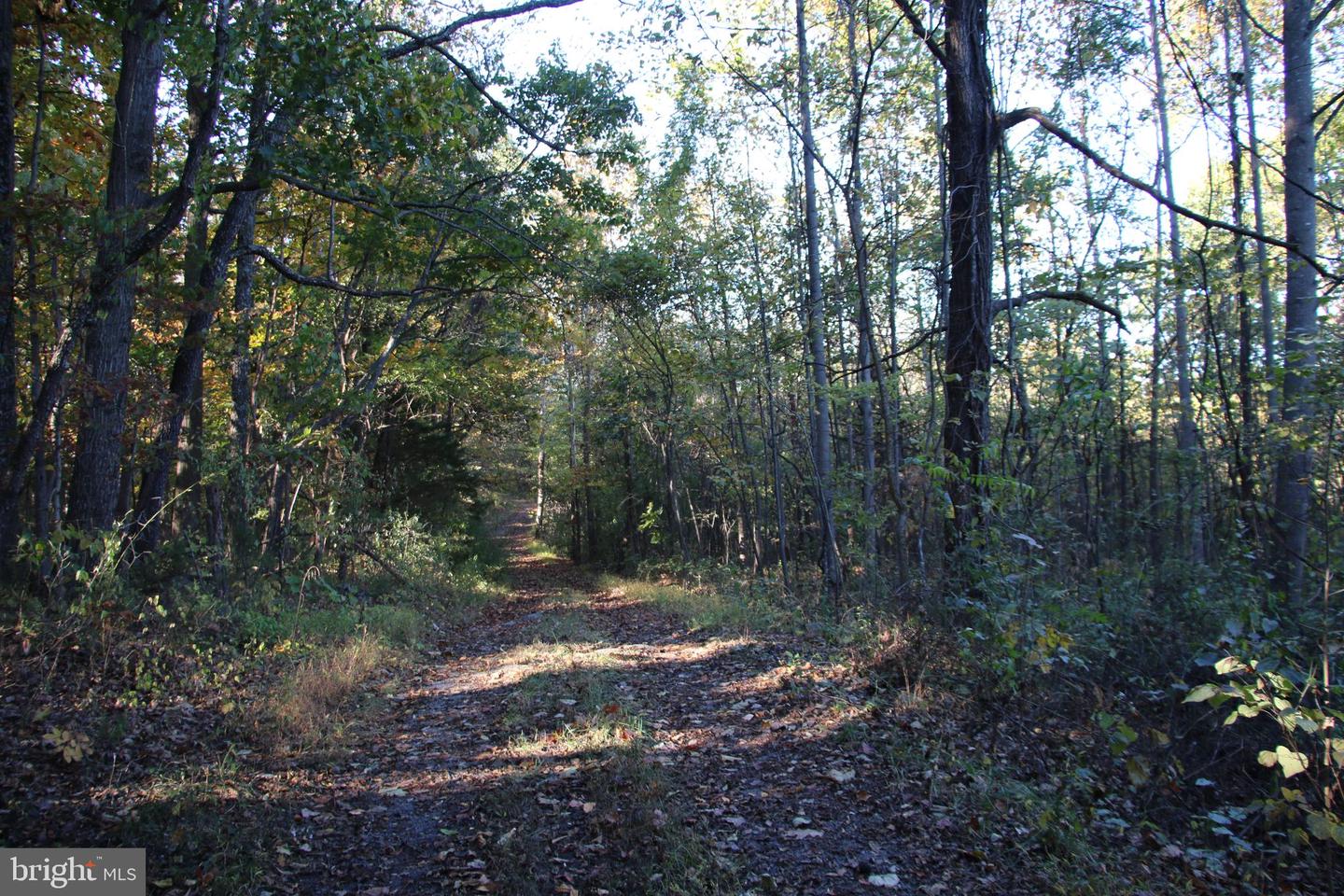 598 TUCKAHOE LN, WINCHESTER, Virginia 22602, ,Farm,For Sale,598 TUCKAHOE LN,VAFV2037258 MLS # VAFV2037258