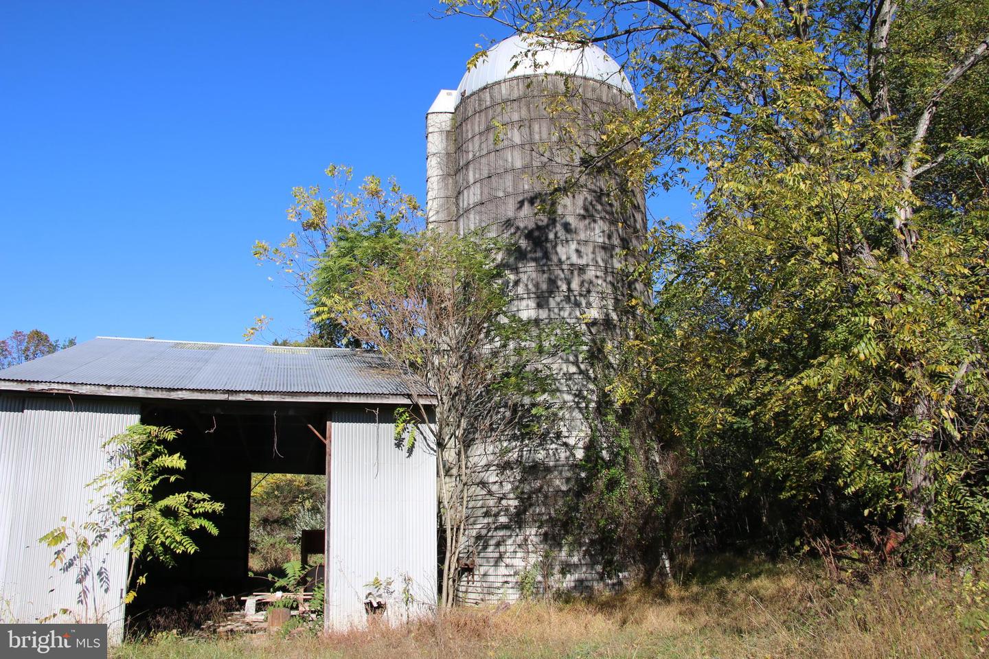 598 TUCKAHOE LN, WINCHESTER, Virginia 22602, ,Farm,For Sale,598 TUCKAHOE LN,VAFV2037258 MLS # VAFV2037258