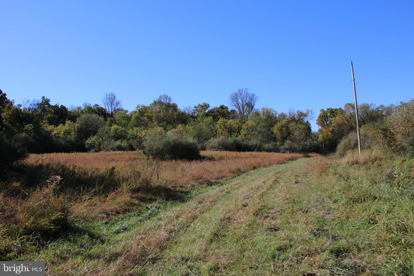 598 TUCKAHOE LN, WINCHESTER, Virginia 22602, ,Farm,For Sale,598 TUCKAHOE LN,VAFV2037258 MLS # VAFV2037258