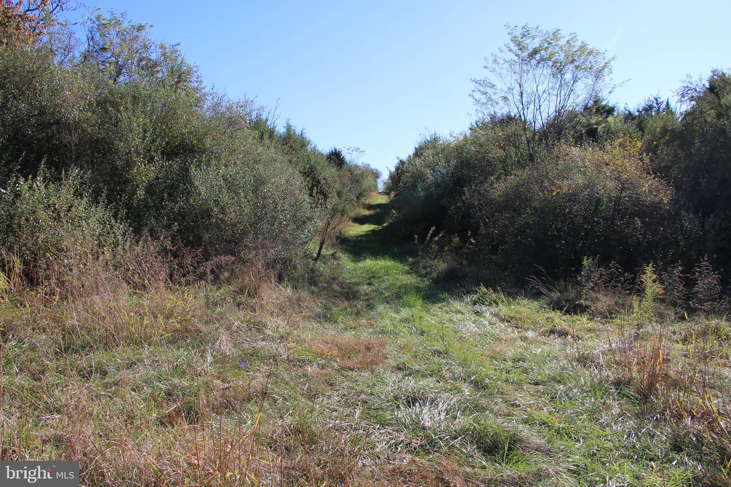 598 TUCKAHOE LN, WINCHESTER, Virginia 22602, ,Farm,For Sale,598 TUCKAHOE LN,VAFV2037258 MLS # VAFV2037258