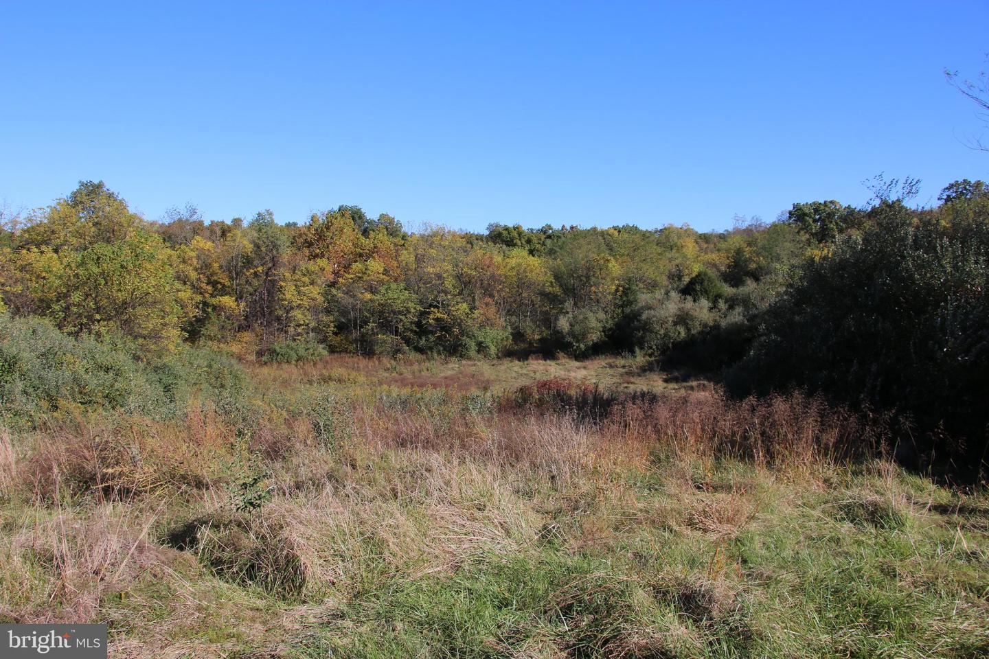 598 TUCKAHOE LN, WINCHESTER, Virginia 22602, ,Farm,For Sale,598 TUCKAHOE LN,VAFV2037258 MLS # VAFV2037258