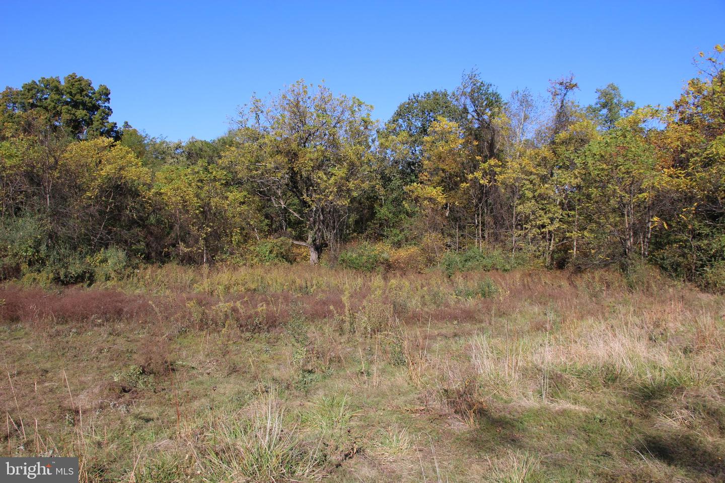 598 TUCKAHOE LN, WINCHESTER, Virginia 22602, ,Farm,For Sale,598 TUCKAHOE LN,VAFV2037258 MLS # VAFV2037258