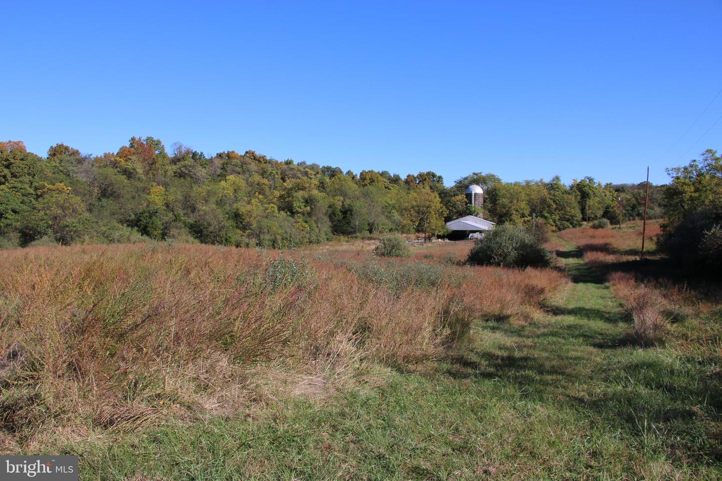 598 TUCKAHOE LN, WINCHESTER, Virginia 22602, ,Farm,For Sale,598 TUCKAHOE LN,VAFV2037258 MLS # VAFV2037258