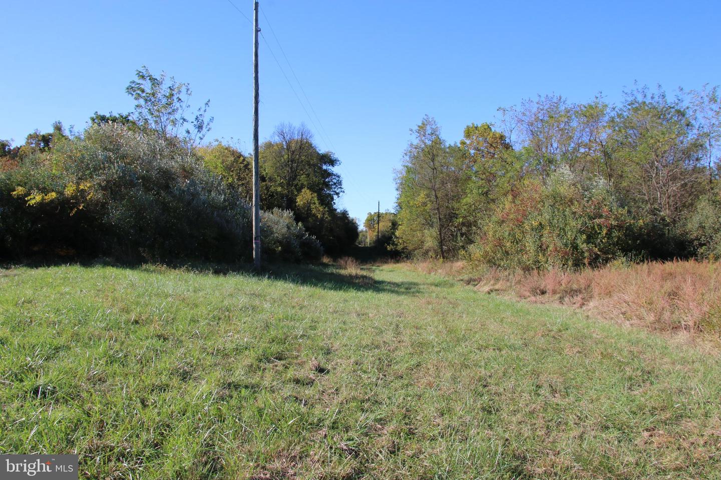 598 TUCKAHOE LN, WINCHESTER, Virginia 22602, ,Farm,For Sale,598 TUCKAHOE LN,VAFV2037258 MLS # VAFV2037258