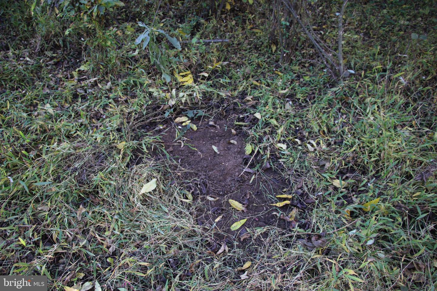 598 TUCKAHOE LN, WINCHESTER, Virginia 22602, ,Farm,For Sale,598 TUCKAHOE LN,VAFV2037258 MLS # VAFV2037258