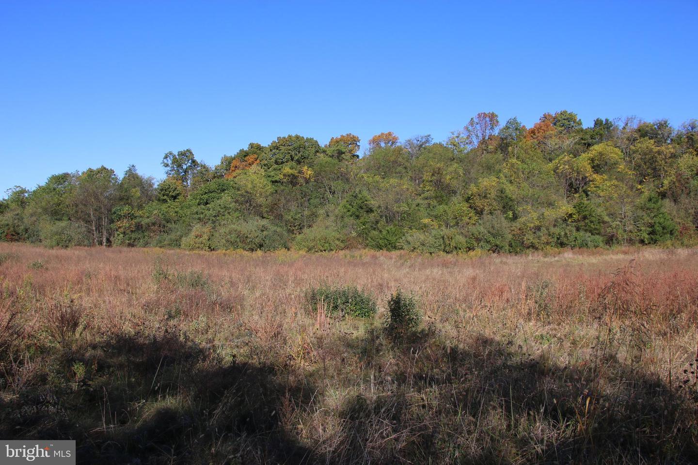 598 TUCKAHOE LN, WINCHESTER, Virginia 22602, ,Farm,For Sale,598 TUCKAHOE LN,VAFV2037258 MLS # VAFV2037258