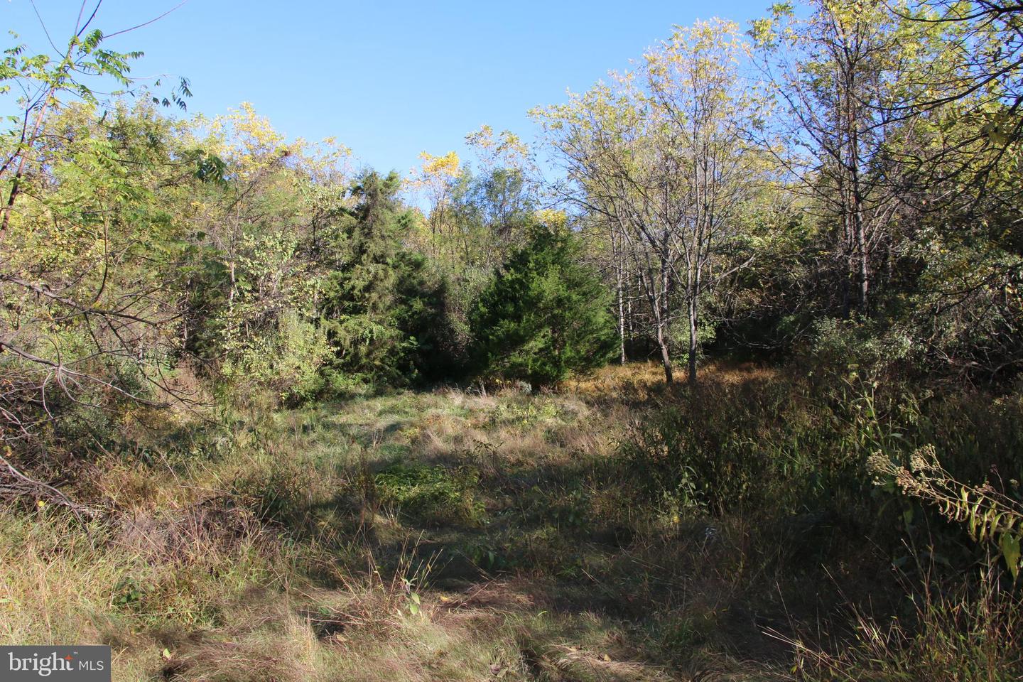 598 TUCKAHOE LN, WINCHESTER, Virginia 22602, ,Farm,For Sale,598 TUCKAHOE LN,VAFV2037258 MLS # VAFV2037258