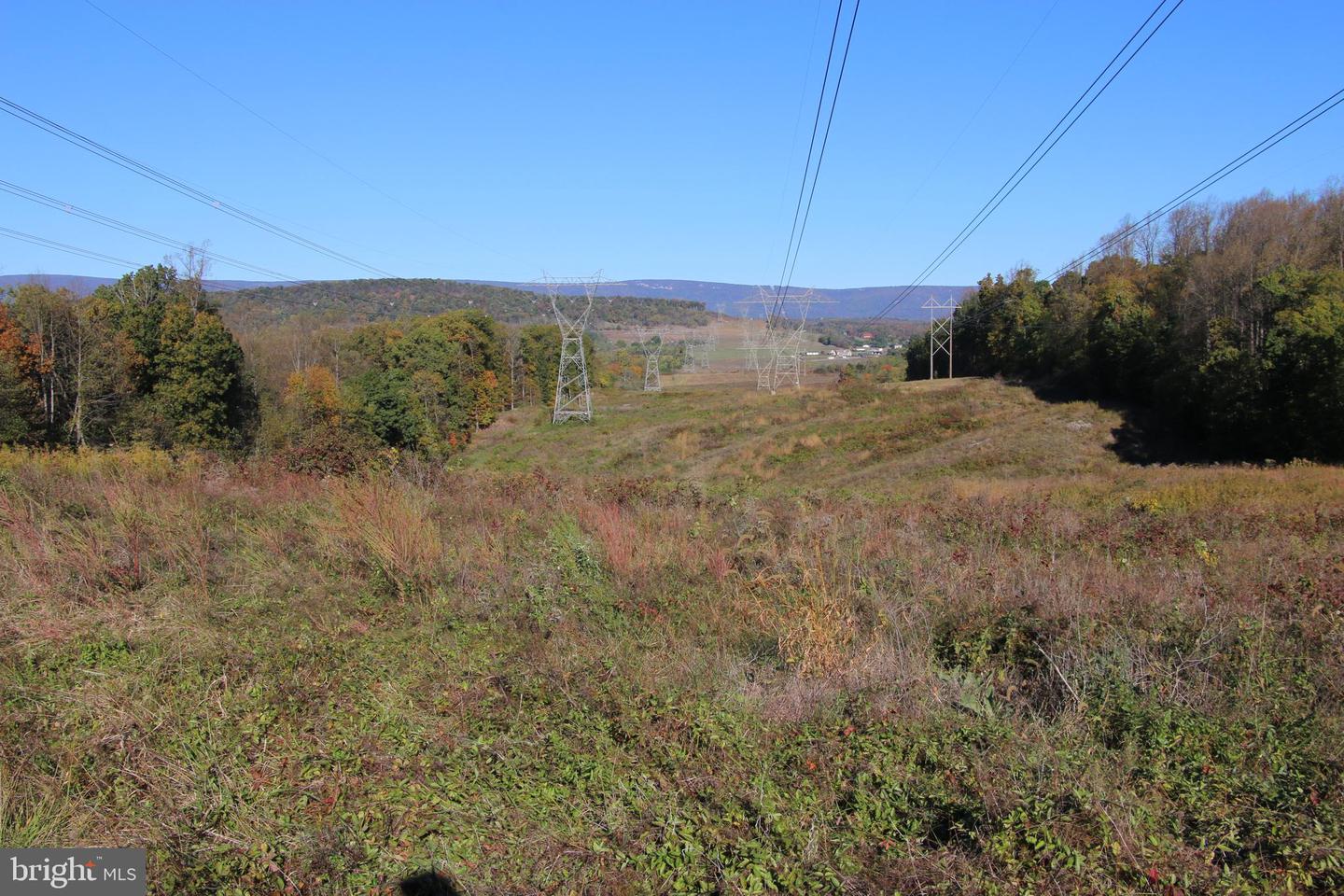 598 TUCKAHOE LN, WINCHESTER, Virginia 22602, ,Farm,For Sale,598 TUCKAHOE LN,VAFV2037258 MLS # VAFV2037258