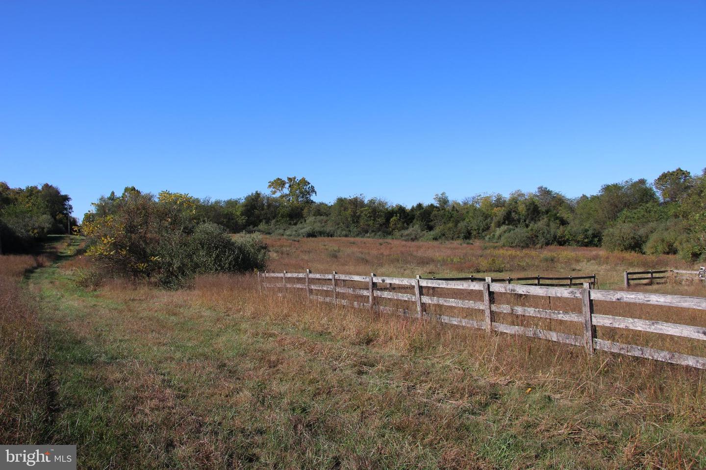 598 TUCKAHOE LN, WINCHESTER, Virginia 22602, ,Farm,For Sale,598 TUCKAHOE LN,VAFV2037258 MLS # VAFV2037258