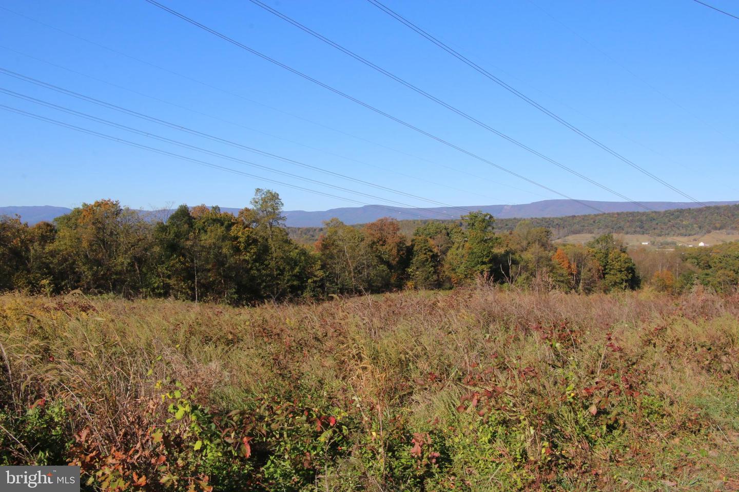 598 TUCKAHOE LN, WINCHESTER, Virginia 22602, ,Farm,For Sale,598 TUCKAHOE LN,VAFV2037258 MLS # VAFV2037258