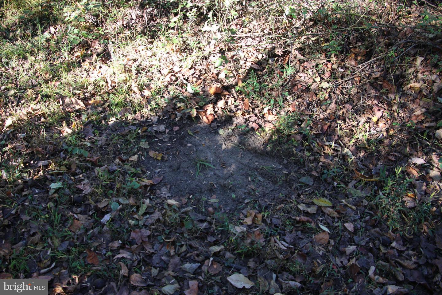 598 TUCKAHOE LN, WINCHESTER, Virginia 22602, ,Farm,For Sale,598 TUCKAHOE LN,VAFV2037258 MLS # VAFV2037258