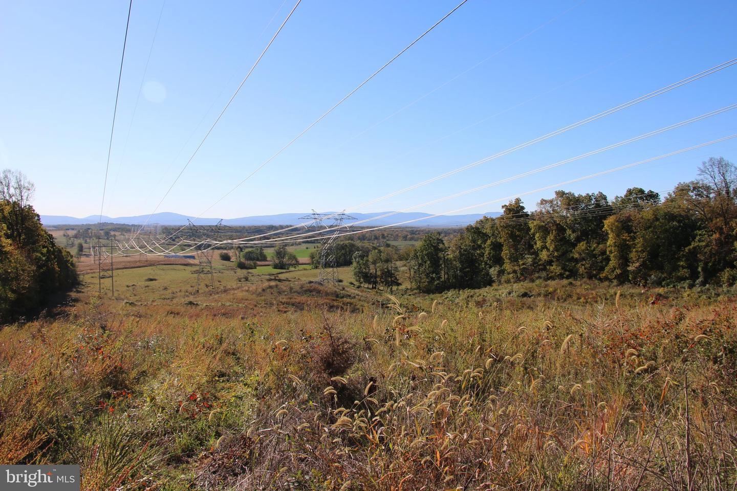 598 TUCKAHOE LN, WINCHESTER, Virginia 22602, ,Farm,For Sale,598 TUCKAHOE LN,VAFV2037258 MLS # VAFV2037258