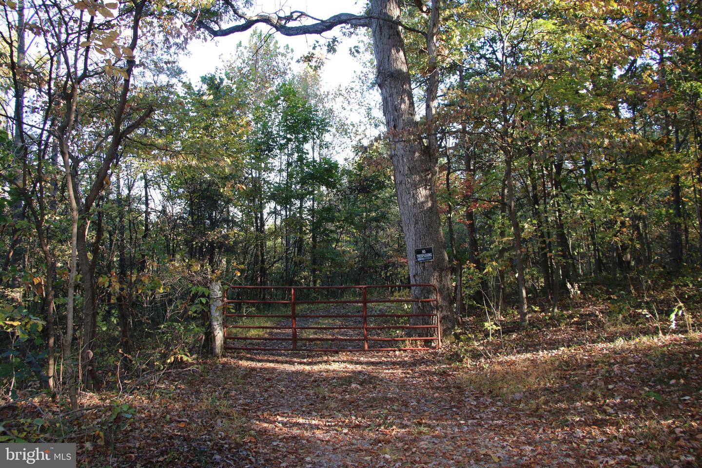 598 TUCKAHOE LN, WINCHESTER, Virginia 22602, ,Farm,For Sale,598 TUCKAHOE LN,VAFV2037258 MLS # VAFV2037258