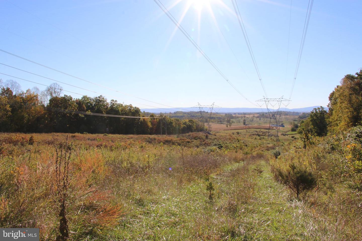 598 TUCKAHOE LN, WINCHESTER, Virginia 22602, ,Farm,For Sale,598 TUCKAHOE LN,VAFV2037258 MLS # VAFV2037258