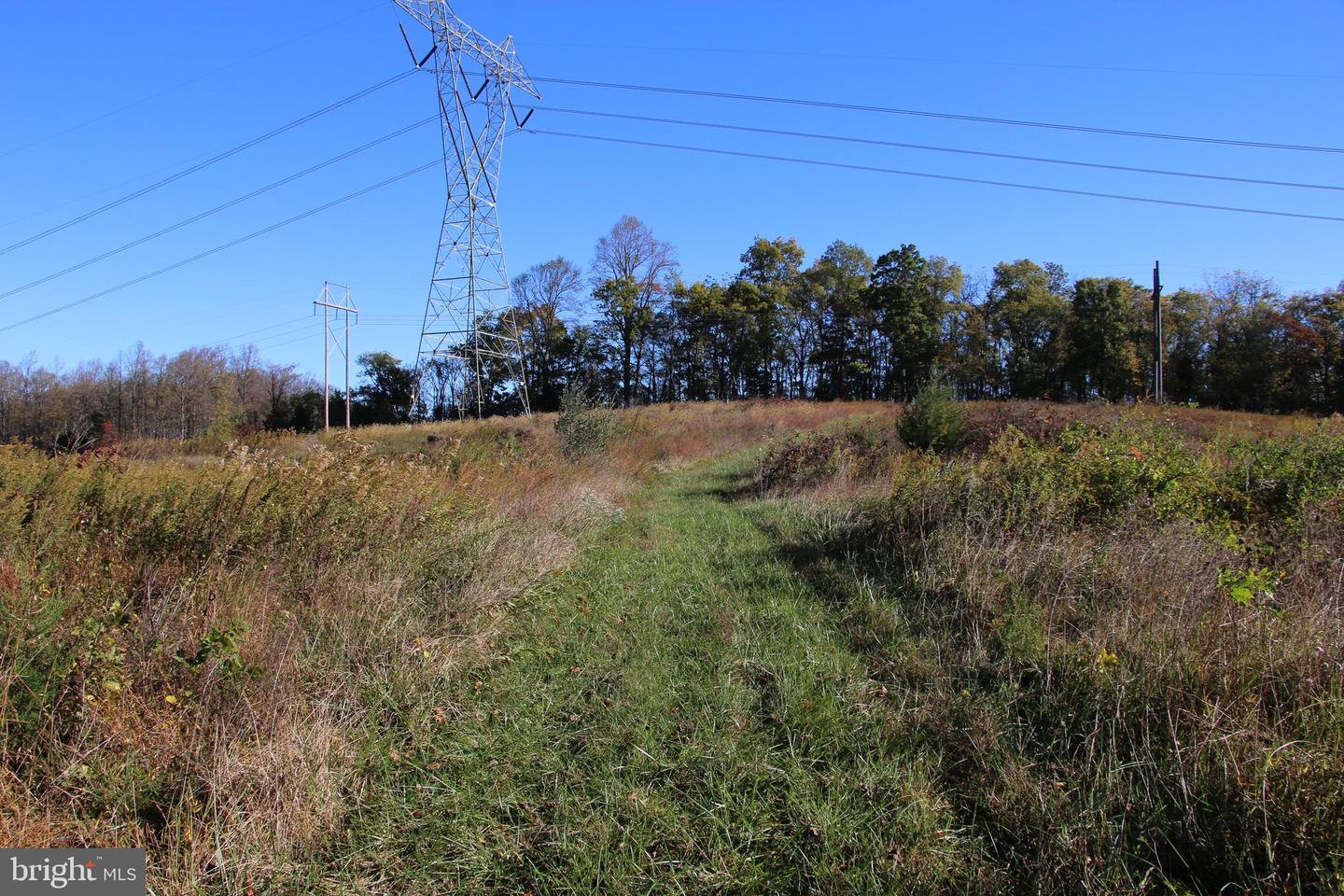 598 TUCKAHOE LN, WINCHESTER, Virginia 22602, ,Farm,For Sale,598 TUCKAHOE LN,VAFV2037258 MLS # VAFV2037258