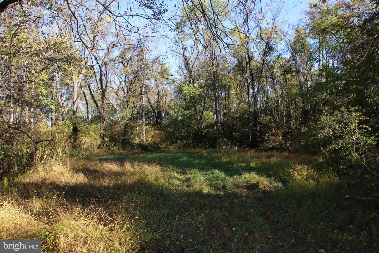 598 TUCKAHOE LN, WINCHESTER, Virginia 22602, ,Farm,For Sale,598 TUCKAHOE LN,VAFV2037258 MLS # VAFV2037258