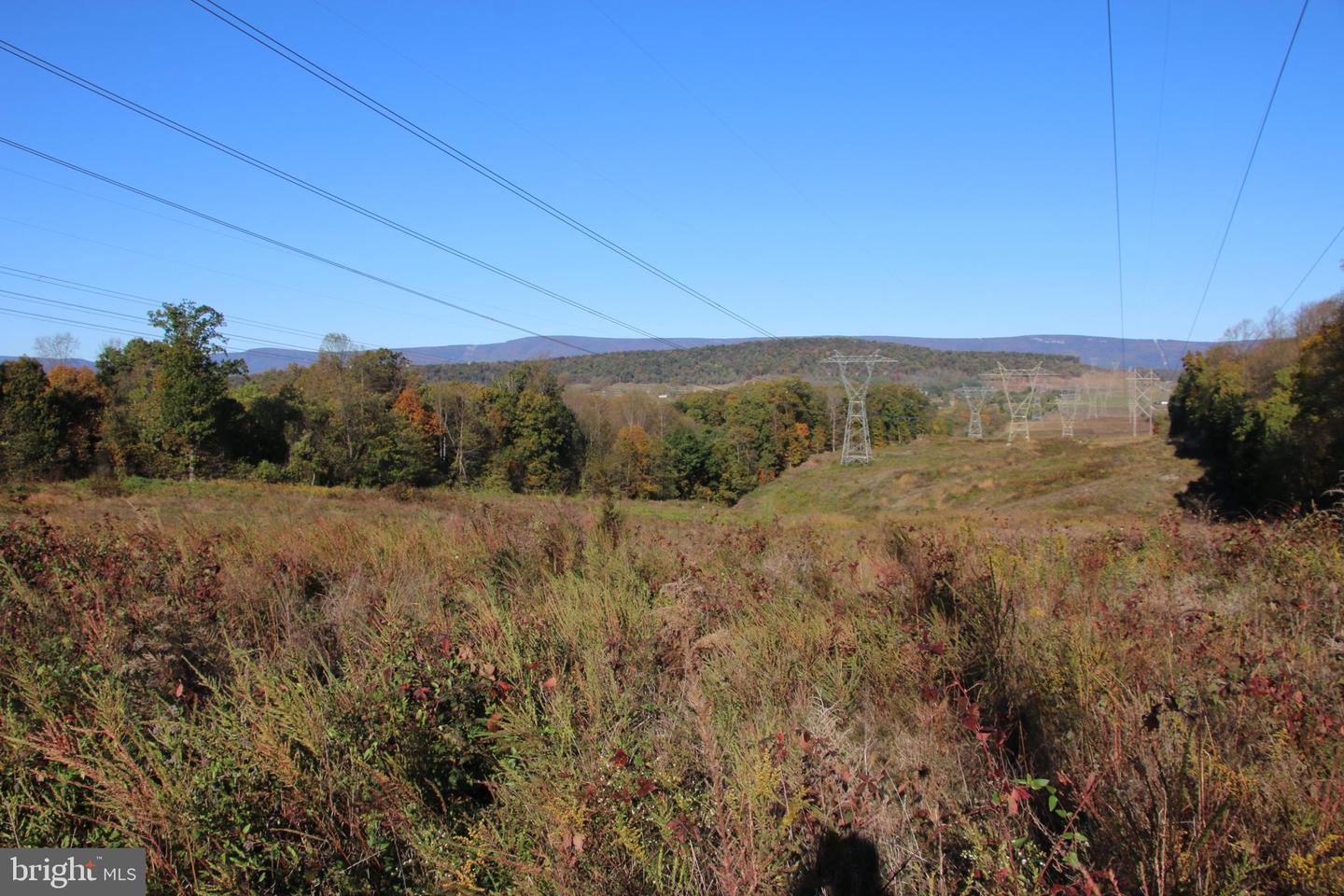 598 TUCKAHOE LN, WINCHESTER, Virginia 22602, ,Farm,For Sale,598 TUCKAHOE LN,VAFV2037258 MLS # VAFV2037258