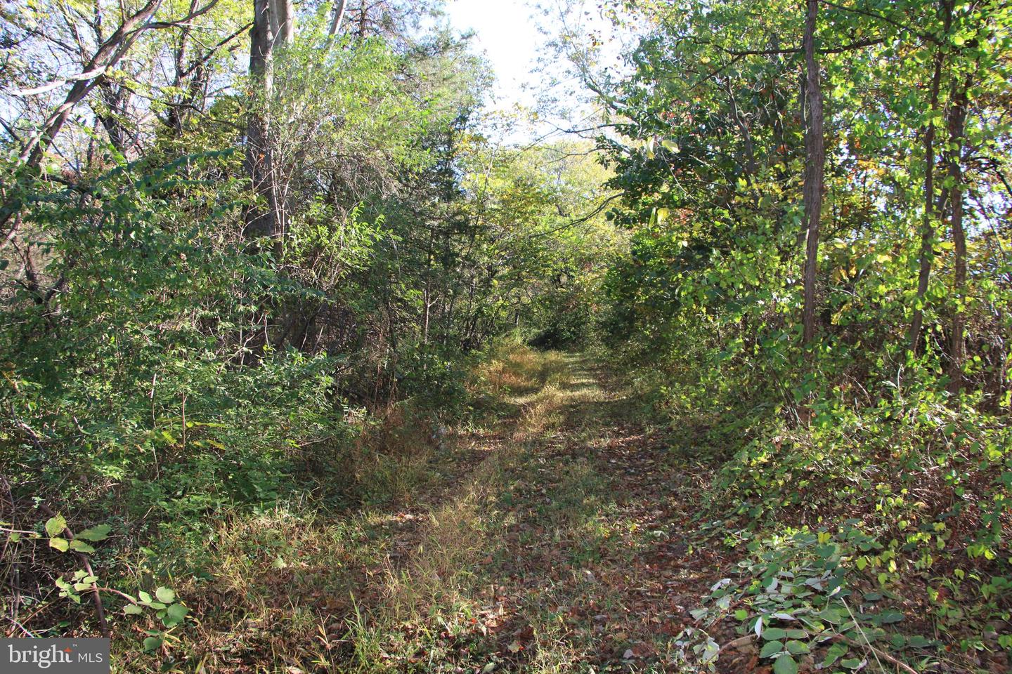 598 TUCKAHOE LN, WINCHESTER, Virginia 22602, ,Farm,For Sale,598 TUCKAHOE LN,VAFV2037258 MLS # VAFV2037258