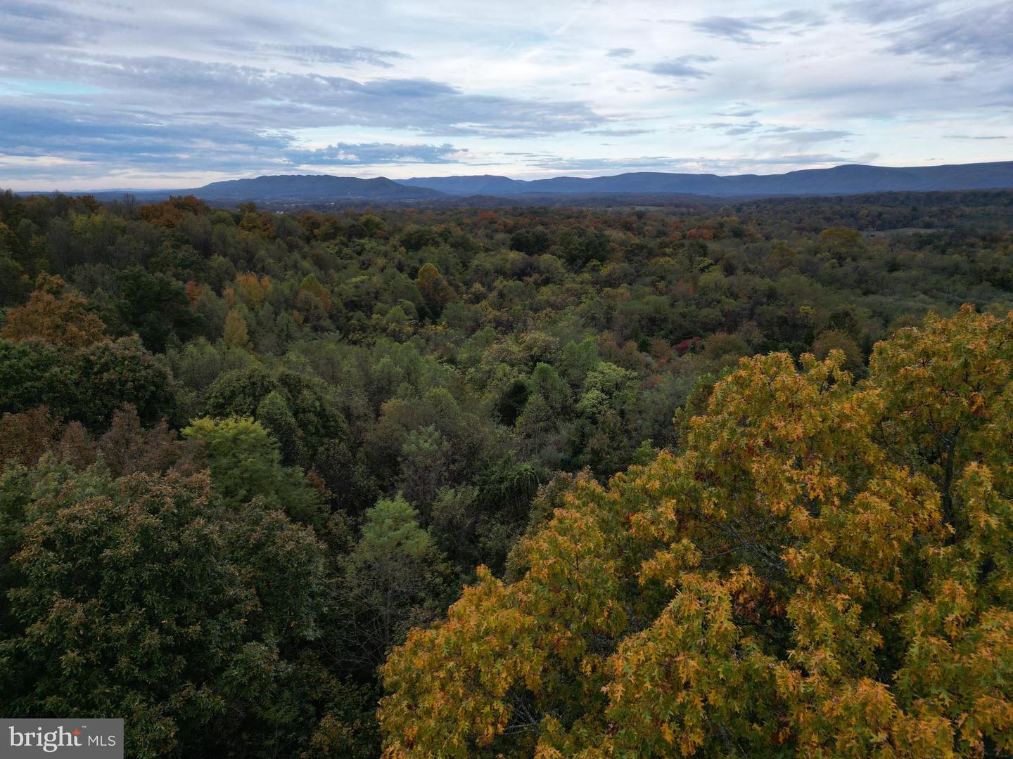 598 TUCKAHOE LN, WINCHESTER, Virginia 22602, ,Farm,For Sale,598 TUCKAHOE LN,VAFV2037258 MLS # VAFV2037258