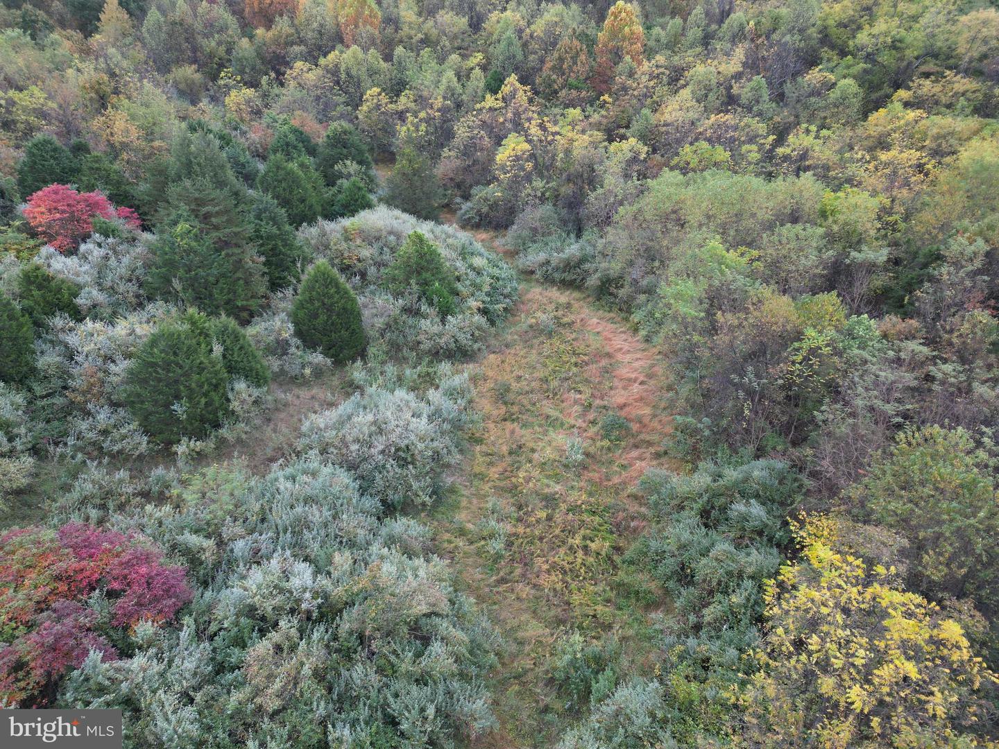 598 TUCKAHOE LN, WINCHESTER, Virginia 22602, ,Farm,For Sale,598 TUCKAHOE LN,VAFV2037258 MLS # VAFV2037258