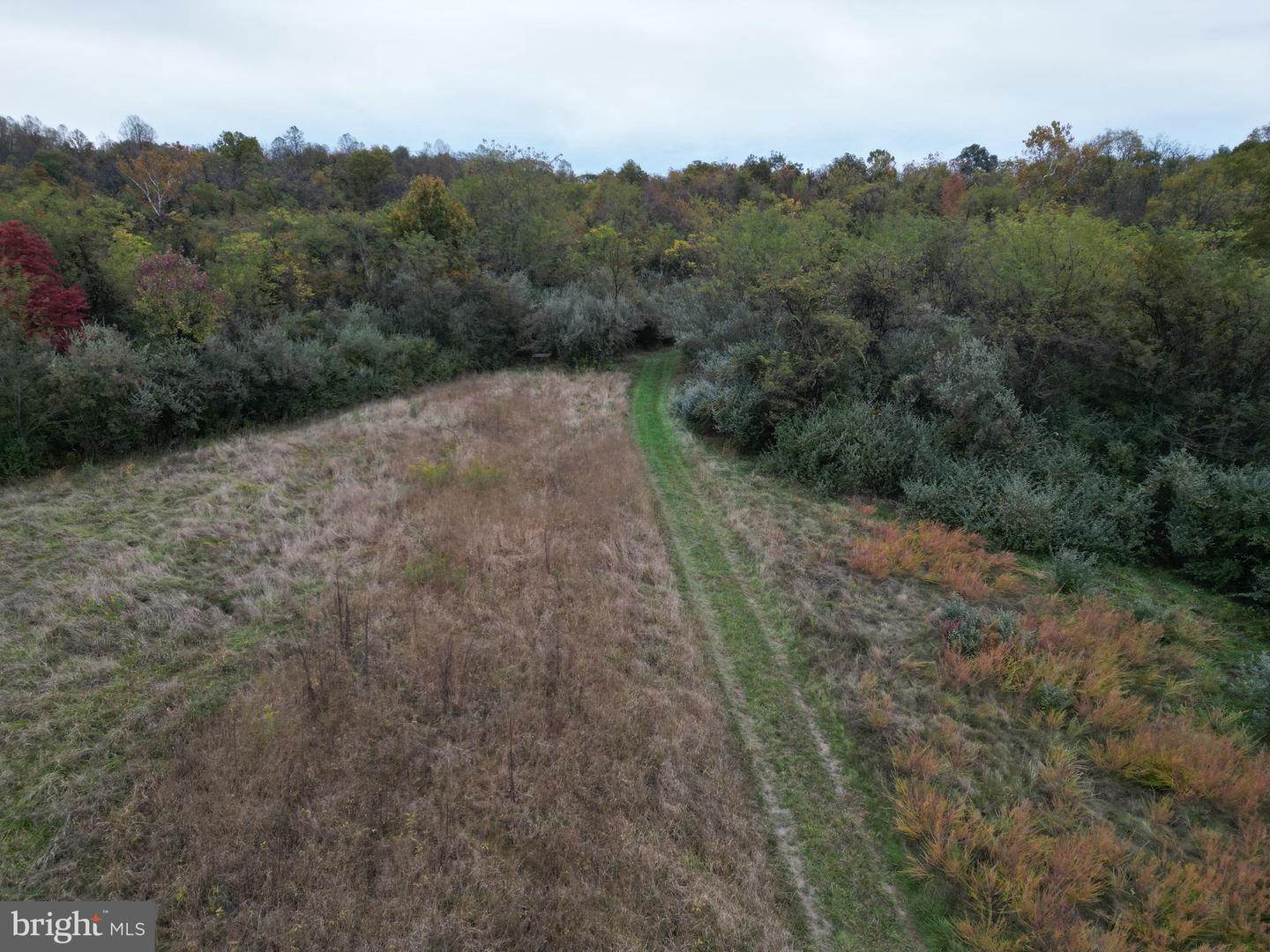 598 TUCKAHOE LN, WINCHESTER, Virginia 22602, ,Farm,For Sale,598 TUCKAHOE LN,VAFV2037258 MLS # VAFV2037258