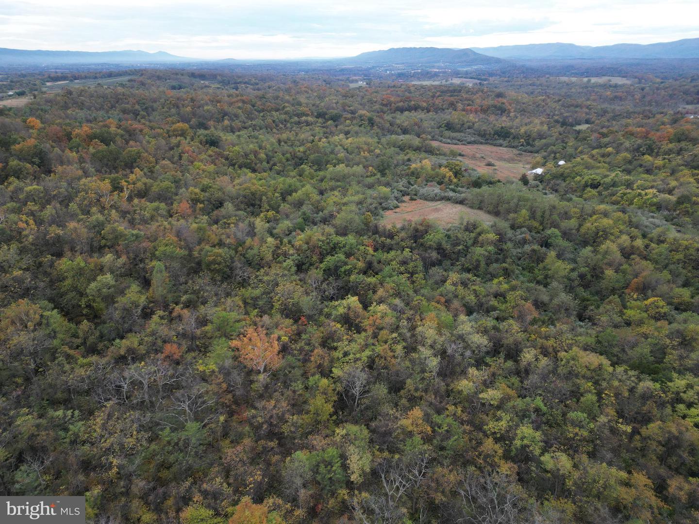 598 TUCKAHOE LN, WINCHESTER, Virginia 22602, ,Farm,For Sale,598 TUCKAHOE LN,VAFV2037258 MLS # VAFV2037258