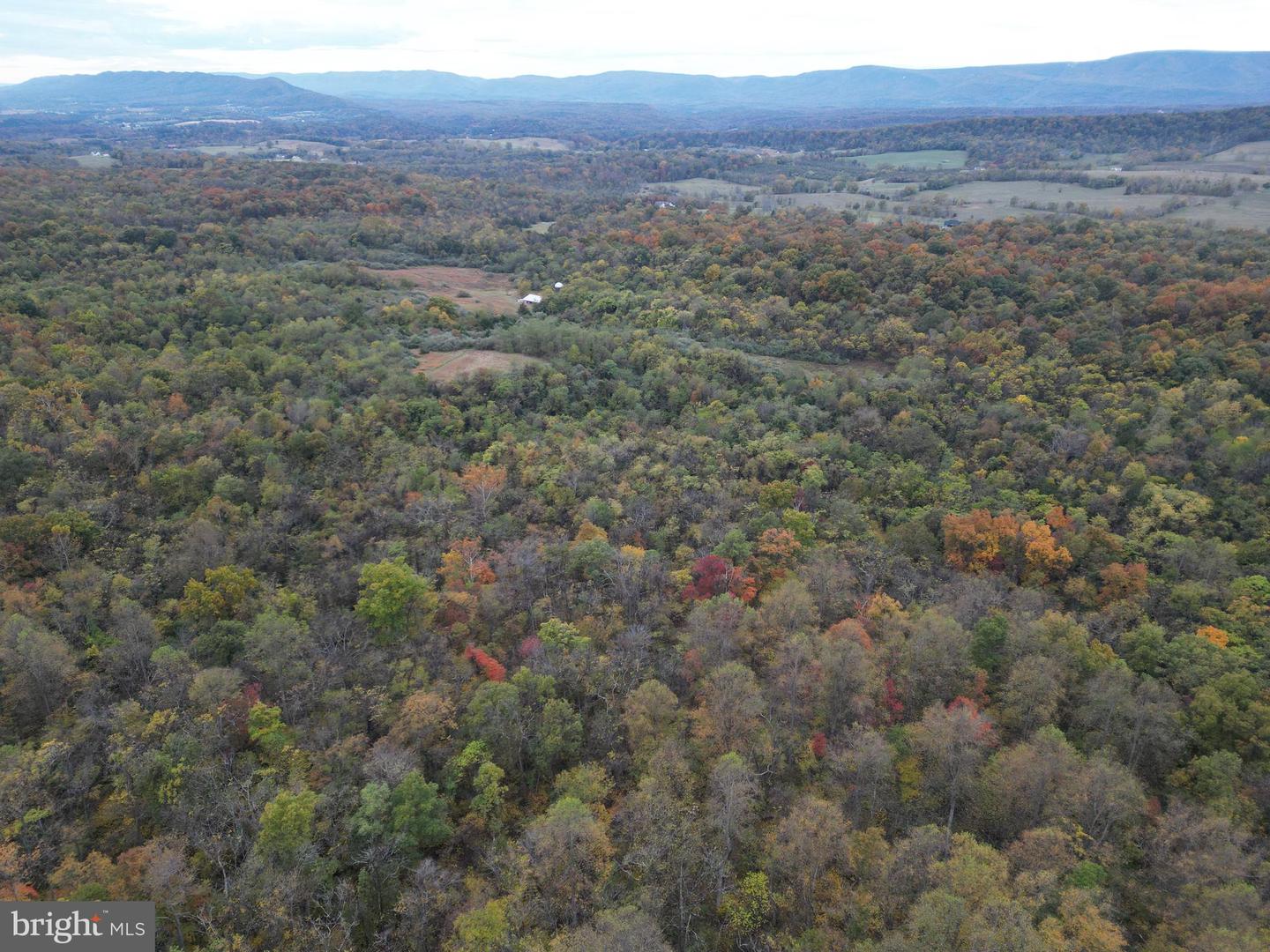 598 TUCKAHOE LN, WINCHESTER, Virginia 22602, ,Farm,For Sale,598 TUCKAHOE LN,VAFV2037258 MLS # VAFV2037258