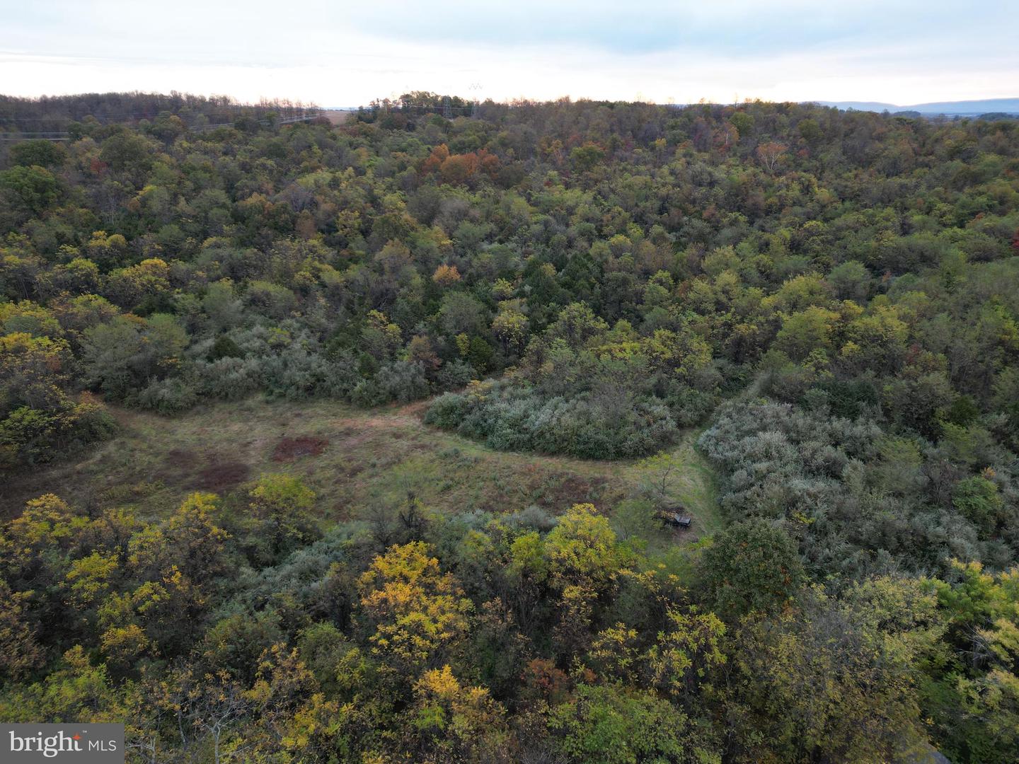 598 TUCKAHOE LN, WINCHESTER, Virginia 22602, ,Farm,For Sale,598 TUCKAHOE LN,VAFV2037258 MLS # VAFV2037258