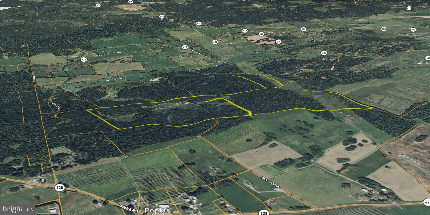 598 TUCKAHOE LN, WINCHESTER, Virginia 22602, ,Farm,For Sale,598 TUCKAHOE LN,VAFV2037258 MLS # VAFV2037258