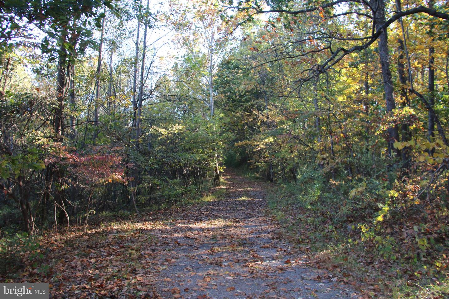 598 TUCKAHOE LN, WINCHESTER, Virginia 22602, ,Farm,For Sale,598 TUCKAHOE LN,VAFV2037258 MLS # VAFV2037258