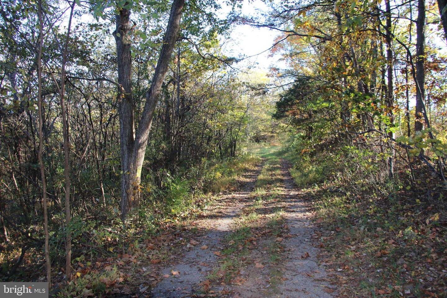 598 TUCKAHOE LN, WINCHESTER, Virginia 22602, ,Farm,For Sale,598 TUCKAHOE LN,VAFV2037258 MLS # VAFV2037258