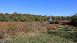 598 TUCKAHOE LN, WINCHESTER, Virginia 22602, ,Farm,For Sale,598 TUCKAHOE LN,VAFV2037258 MLS # VAFV2037258