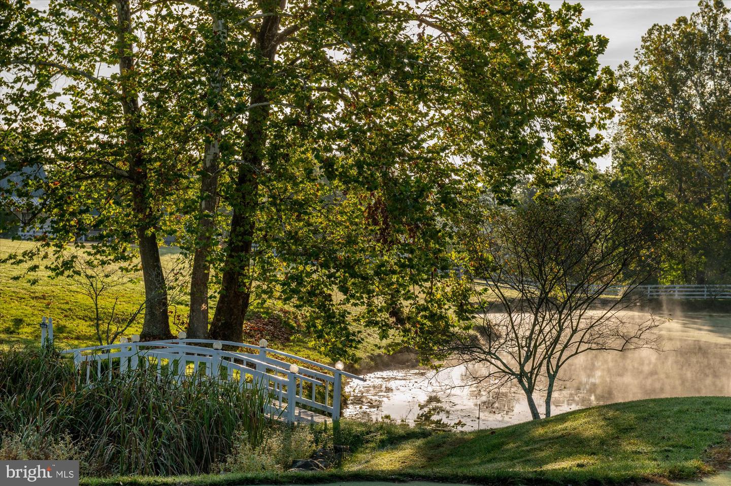 1787 LIGHT HORSE LN, DELAPLANE, Virginia 20144, 4 Bedrooms Bedrooms, ,3 BathroomsBathrooms,Residential,For Sale,1787 LIGHT HORSE LN,VAFQ2018358 MLS # VAFQ2018358