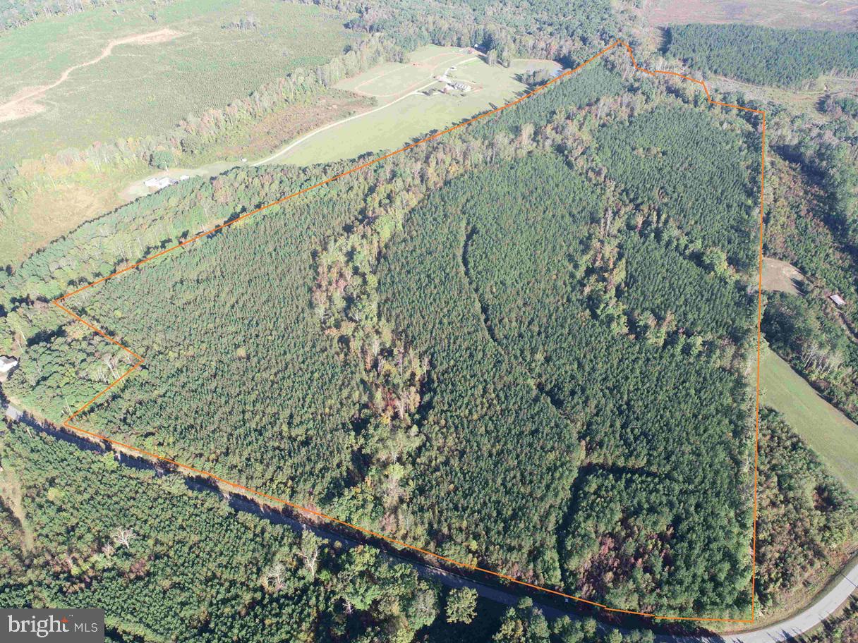 BOZE ROAD (TRACT: WHITE OAK BUTTERWOOD-1), DEWITT, Virginia 23840, ,Farm,For Sale,BOZE ROAD (TRACT: WHITE OAK BUTTERWOOD-1),VADW2000052 MLS # VADW2000052 BOZE ROAD (TRACT: WHITE OAK BUTTERWOOD-1), DEWITT, Virginia 23840, ,Farm,For Sale,BOZE ROAD (TRACT: WHITE OAK BUTTERWOOD-1),VADW2000052 MLS # VADW2000052