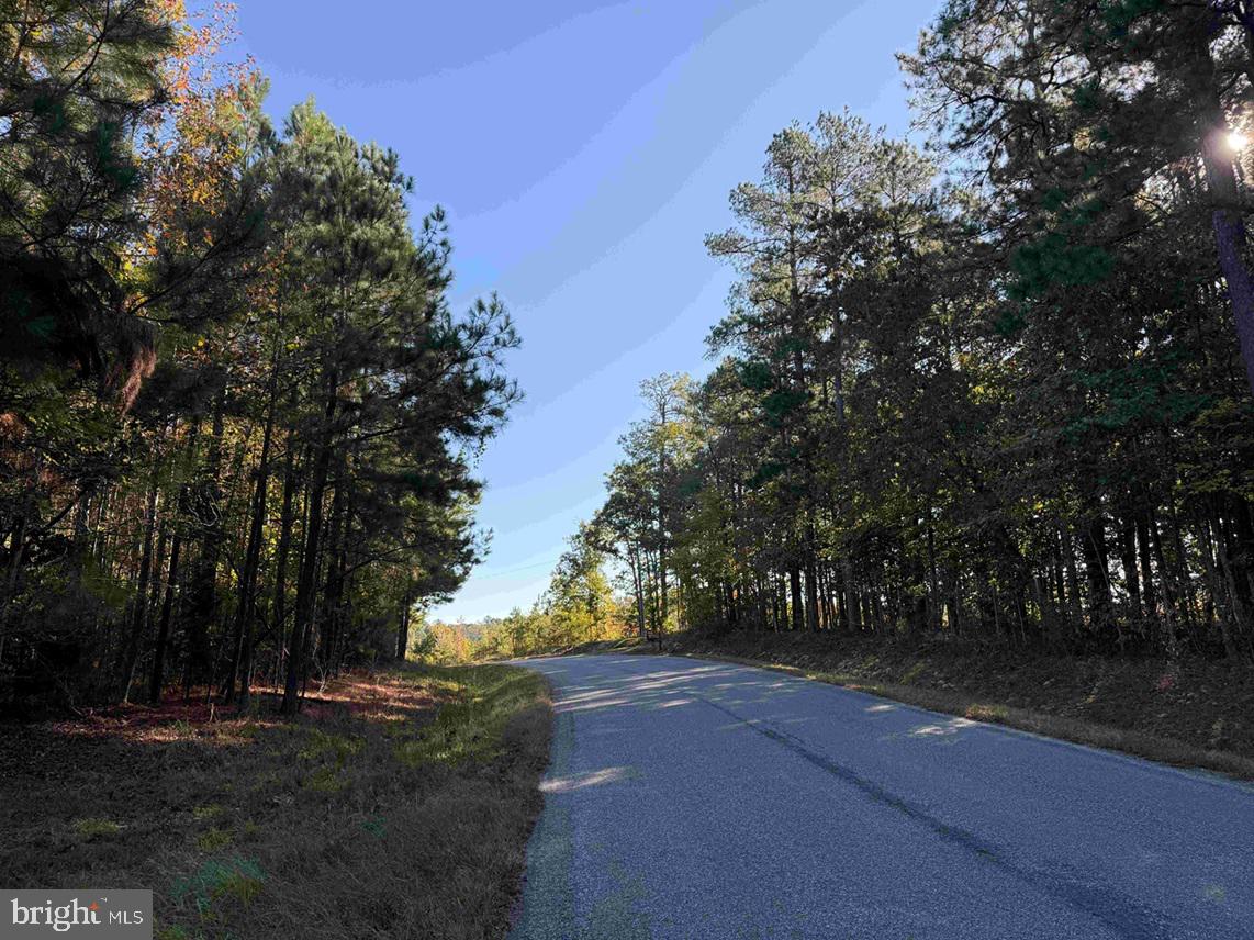 BOZE ROAD (TRACT: WHITE OAK BUTTERWOOD-1), DEWITT, Virginia 23840, ,Farm,For Sale,BOZE ROAD (TRACT: WHITE OAK BUTTERWOOD-1),VADW2000052 MLS # VADW2000052 BOZE ROAD (TRACT: WHITE OAK BUTTERWOOD-1), DEWITT, Virginia 23840, ,Farm,For Sale,BOZE ROAD (TRACT: WHITE OAK BUTTERWOOD-1),VADW2000052 MLS # VADW2000052