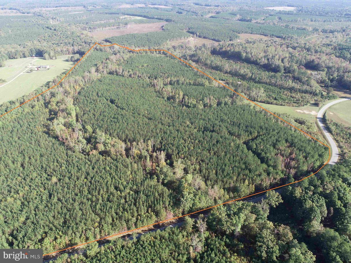 BOZE ROAD (TRACT: WHITE OAK BUTTERWOOD-1), DEWITT, Virginia 23840, ,Farm,For Sale,BOZE ROAD (TRACT: WHITE OAK BUTTERWOOD-1),VADW2000052 MLS # VADW2000052 BOZE ROAD (TRACT: WHITE OAK BUTTERWOOD-1), DEWITT, Virginia 23840, ,Farm,For Sale,BOZE ROAD (TRACT: WHITE OAK BUTTERWOOD-1),VADW2000052 MLS # VADW2000052