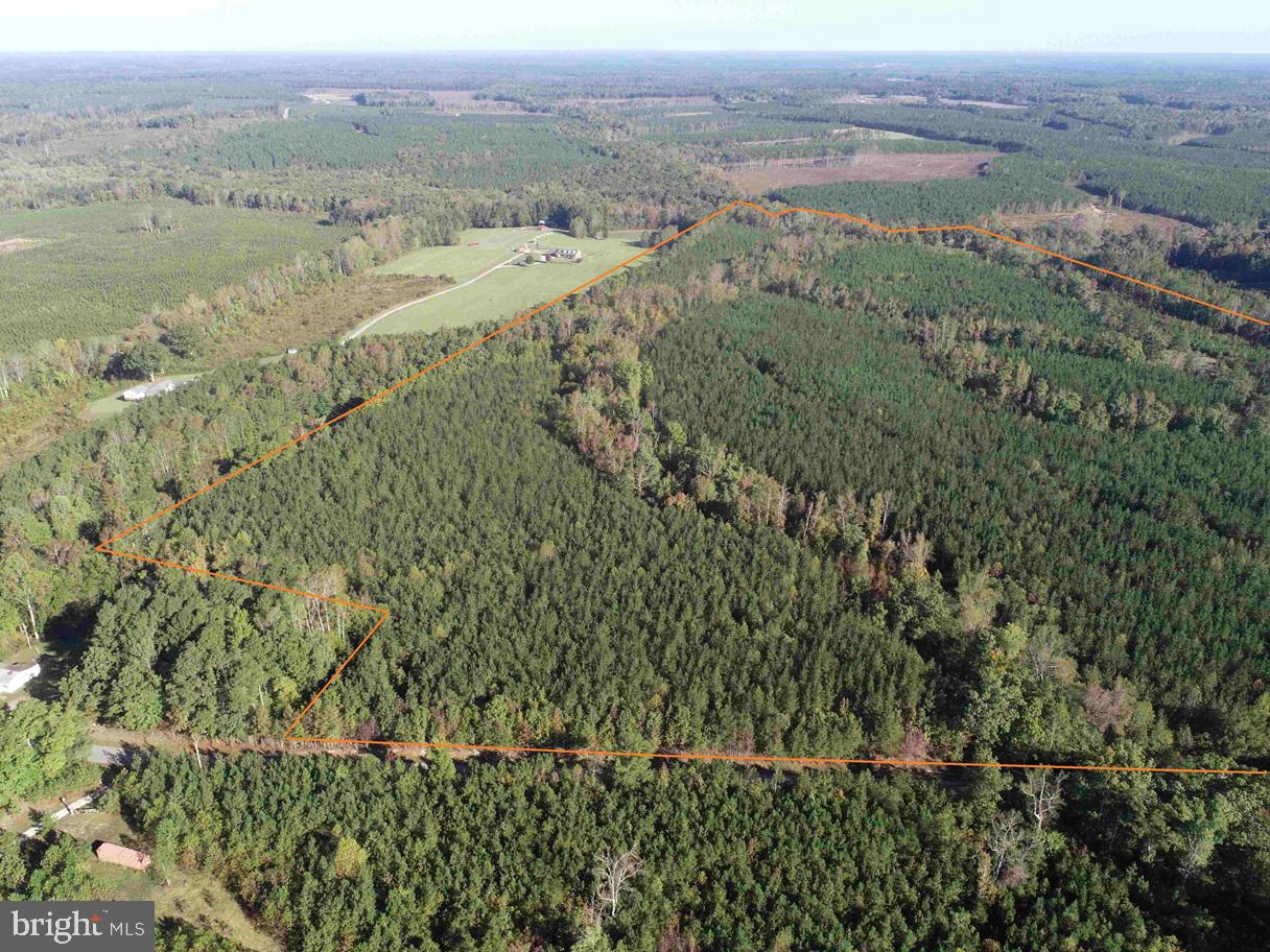 BOZE ROAD (TRACT: WHITE OAK BUTTERWOOD-1), DEWITT, Virginia 23840, ,Farm,For Sale,BOZE ROAD (TRACT: WHITE OAK BUTTERWOOD-1),VADW2000052 MLS # VADW2000052 BOZE ROAD (TRACT: WHITE OAK BUTTERWOOD-1), DEWITT, Virginia 23840, ,Farm,For Sale,BOZE ROAD (TRACT: WHITE OAK BUTTERWOOD-1),VADW2000052 MLS # VADW2000052