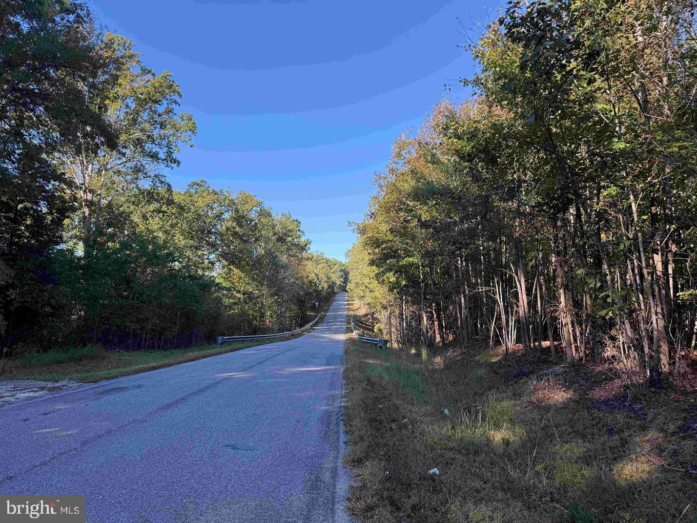 BOZE ROAD (TRACT: WHITE OAK BUTTERWOOD-1), DEWITT, Virginia 23840, ,Farm,For Sale,BOZE ROAD (TRACT: WHITE OAK BUTTERWOOD-1),VADW2000052 MLS # VADW2000052 BOZE ROAD (TRACT: WHITE OAK BUTTERWOOD-1), DEWITT, Virginia 23840, ,Farm,For Sale,BOZE ROAD (TRACT: WHITE OAK BUTTERWOOD-1),VADW2000052 MLS # VADW2000052