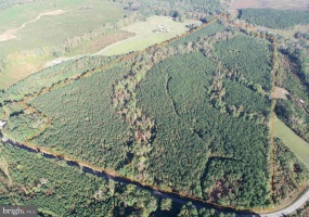 BOZE ROAD (TRACT: WHITE OAK BUTTERWOOD-1), DEWITT, Virginia 23840, ,Farm,For Sale,BOZE ROAD (TRACT: WHITE OAK BUTTERWOOD-1),VADW2000052 MLS # VADW2000052 BOZE ROAD (TRACT: WHITE OAK BUTTERWOOD-1), DEWITT, Virginia 23840, ,Farm,For Sale,BOZE ROAD (TRACT: WHITE OAK BUTTERWOOD-1),VADW2000052 MLS # VADW2000052